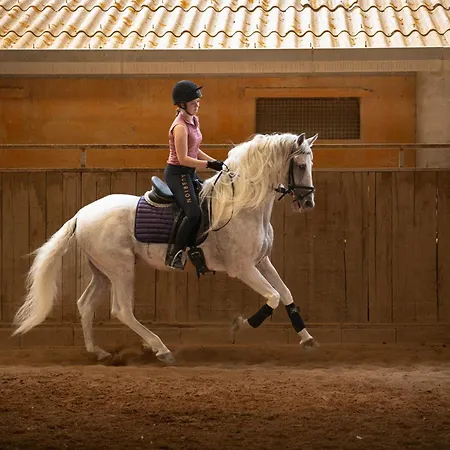 Kır Evi Son Menut