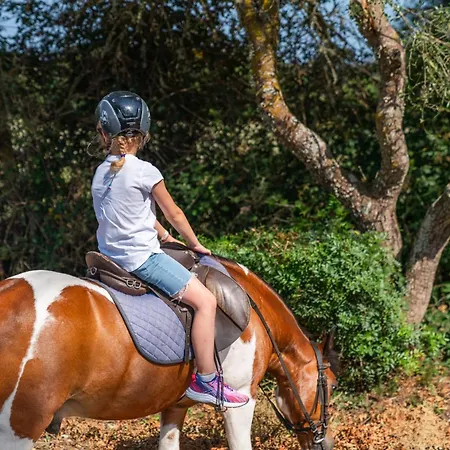 Kır Evi Son Menut *