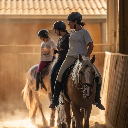 Country house Son Menut Felanitx